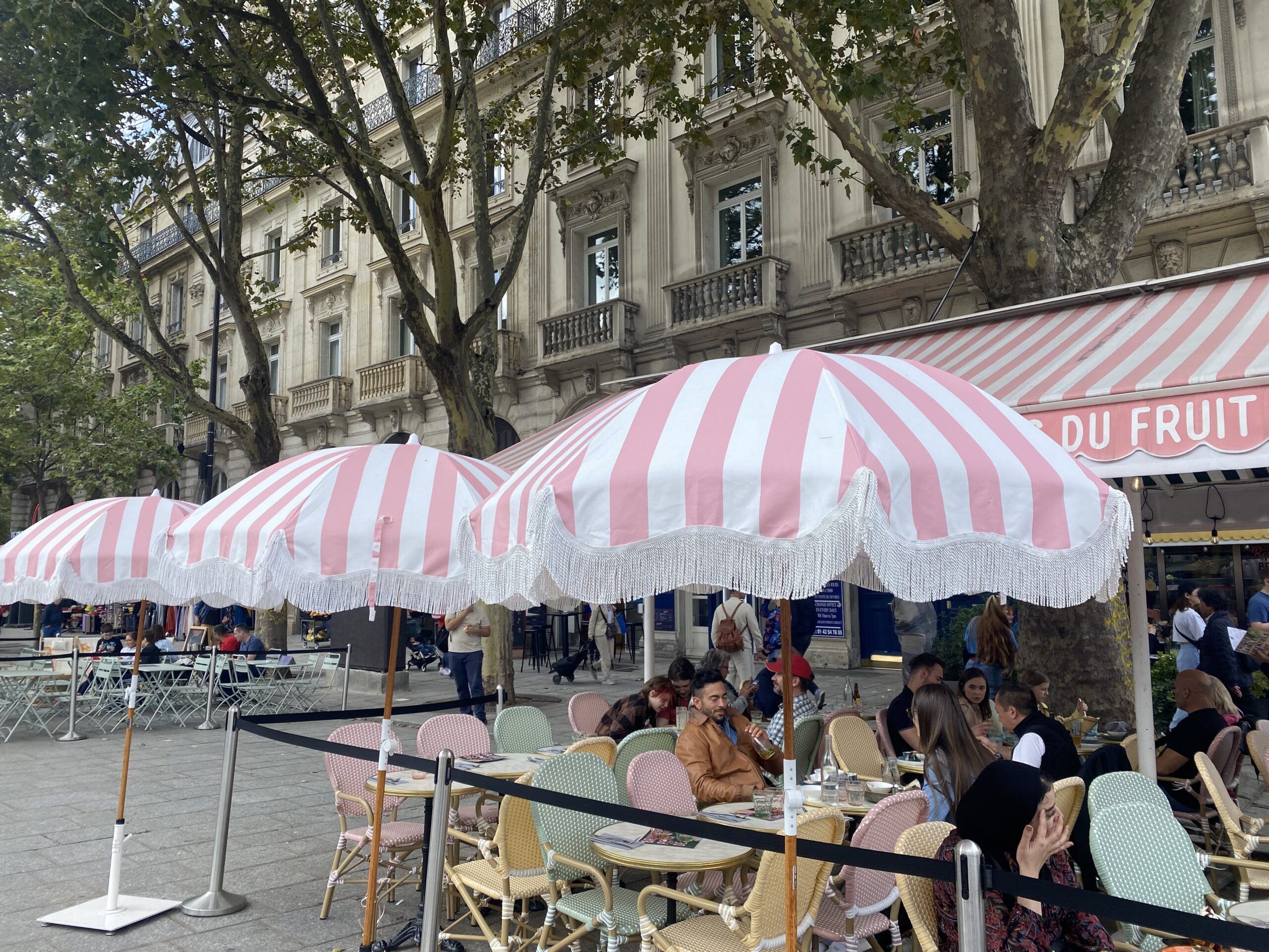 This image has an empty alt attribute; its file name is IMG_3765-scaled.jpeg